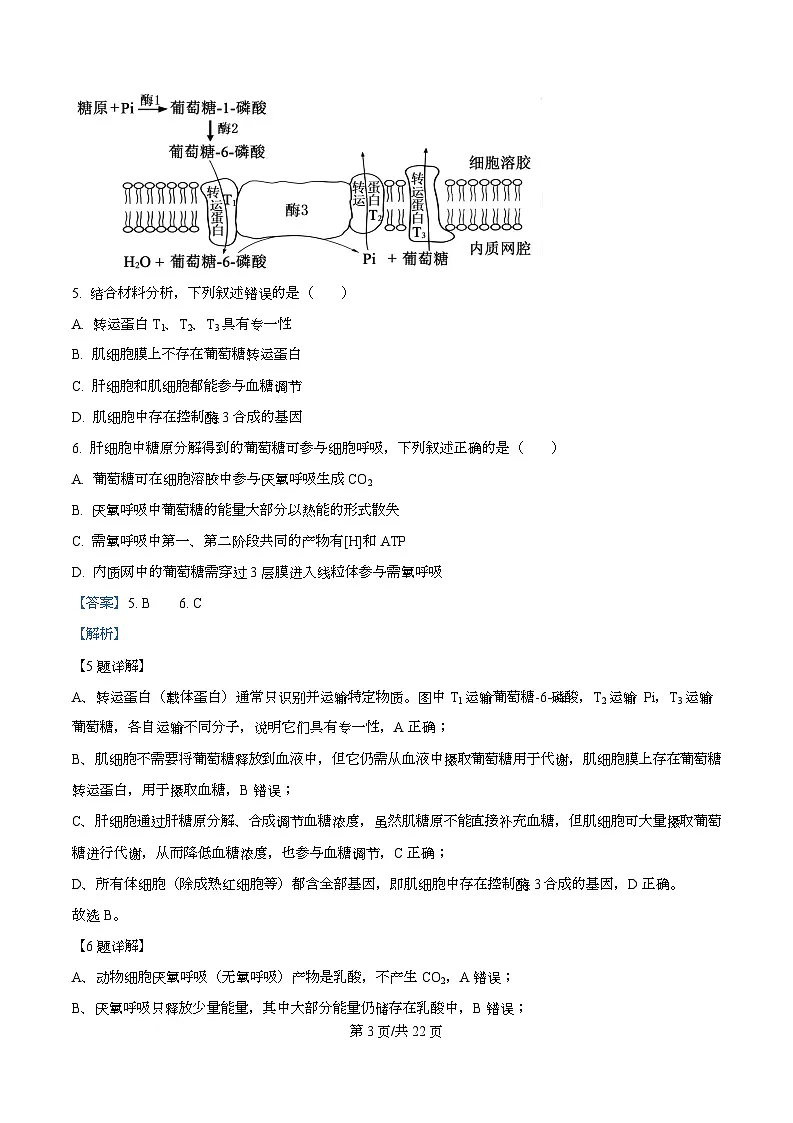 浙江省台州市2026届高三上学期11月第一次教学质量评估生物试题 Word版含解析第3页