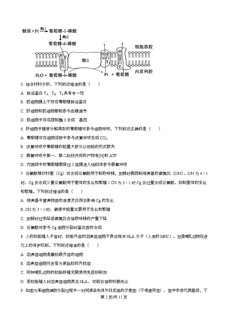 浙江省台州市2026届高三上学期11月第一次教学质量评估生物试题（原卷版）第2页
