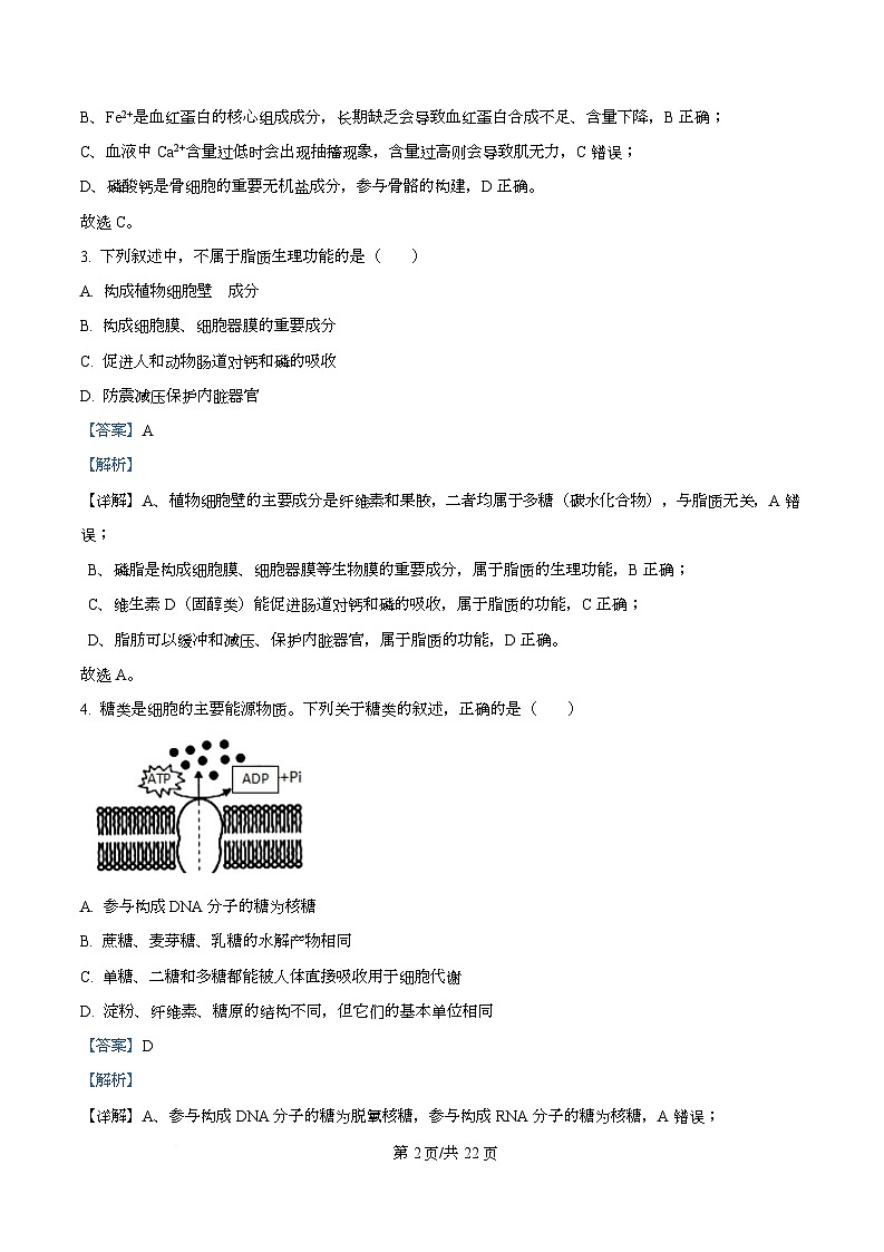 浙江省温州新力量联盟2025-2026学年高一上学期11月期中联考生物试题 Word版含解析第2页