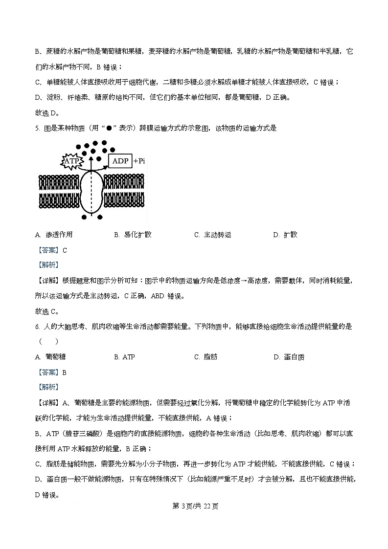 浙江省温州新力量联盟2025-2026学年高一上学期11月期中联考生物试题 Word版含解析第3页