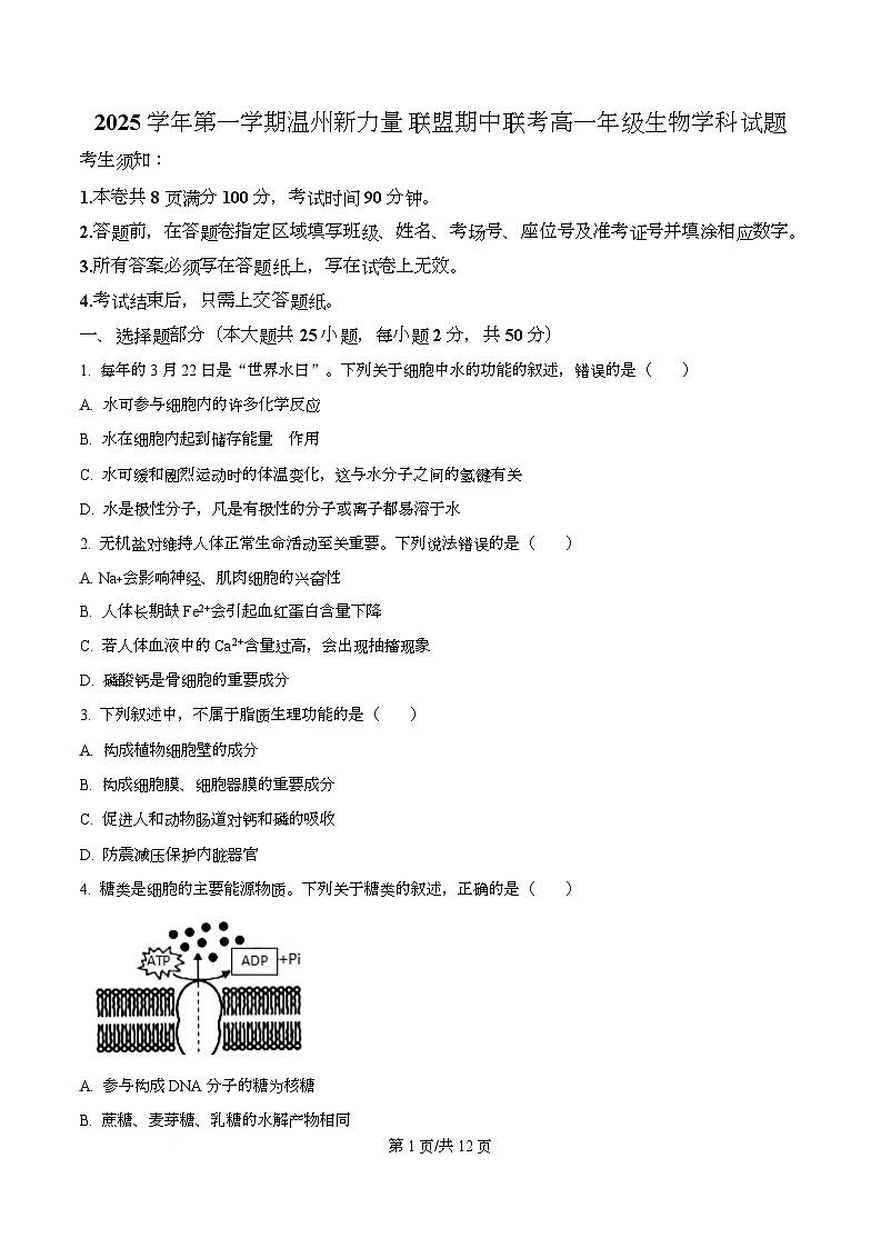 浙江省温州新力量联盟2025-2026学年高一上学期11月期中联考生物试题（原卷版）第1页