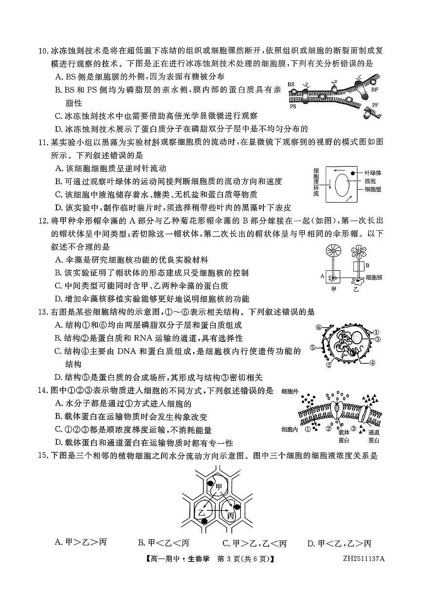 云南省多校2025-2026学年高一上学期12月期中考试生物试题第3页