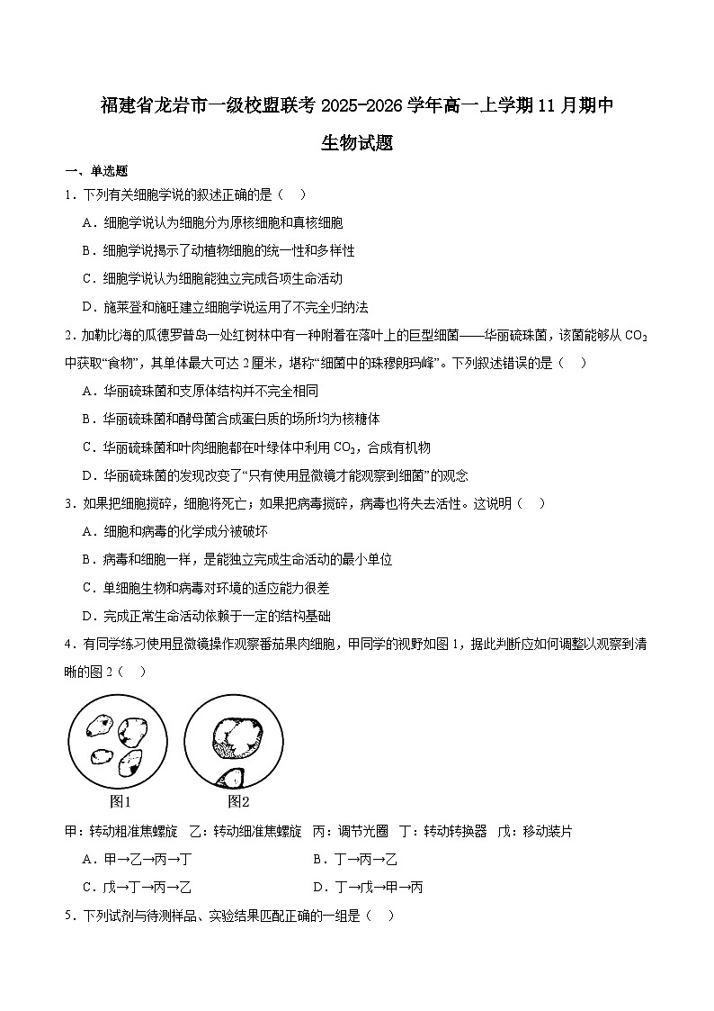 福建省龙岩市一级校盟2025-2026学年高一上学期期中联考生物试卷（Word版附答案）第1页