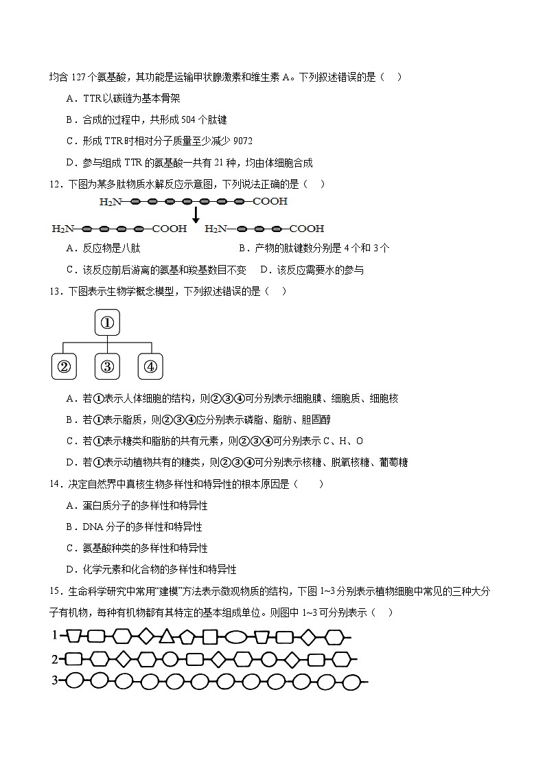 福建省龙岩市一级校盟2025-2026学年高一上学期期中联考生物试卷（Word版附答案）第3页