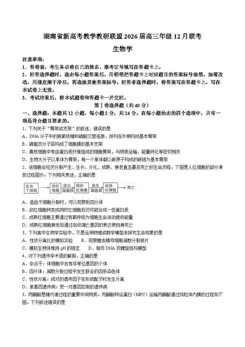 湖南省新高考教学教研联盟2026届高三上学期12月联考 生物试卷（含答案第1页