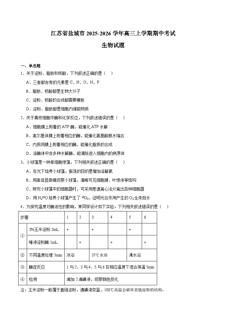 江苏省盐城市2026届高三上学期期中考试 生物试卷（含答案)第1页