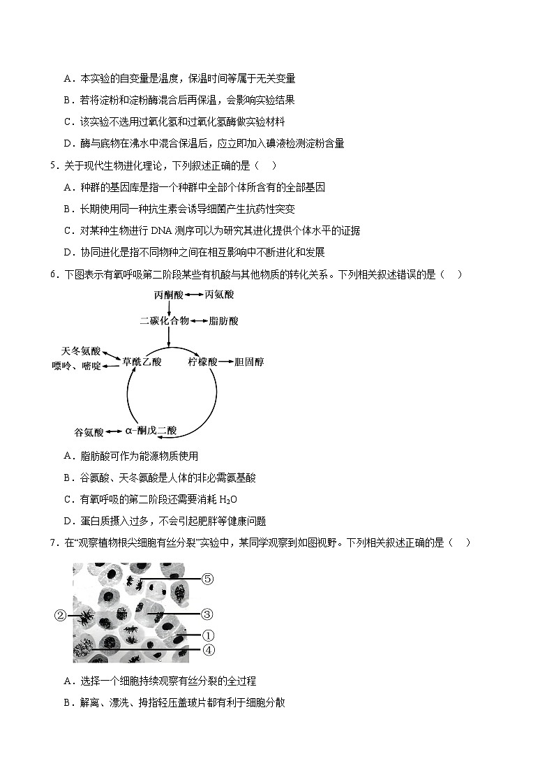 江苏省盐城市2026届高三上学期期中考试 生物试卷（含答案)第2页