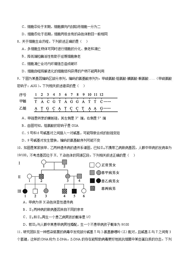 江苏省盐城市2026届高三上学期期中考试 生物试卷（含答案)第3页