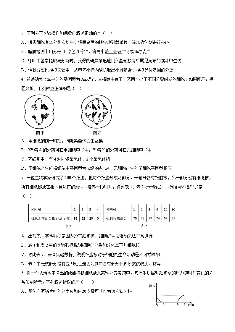 吉林省九校2026届高三上学期11月联合模拟考试 生物试卷（含答案)第2页