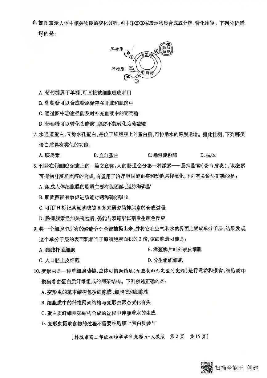 陕西省韩城市2025-2026学年高二上学期学科竞赛生物试题（无答案）第2页