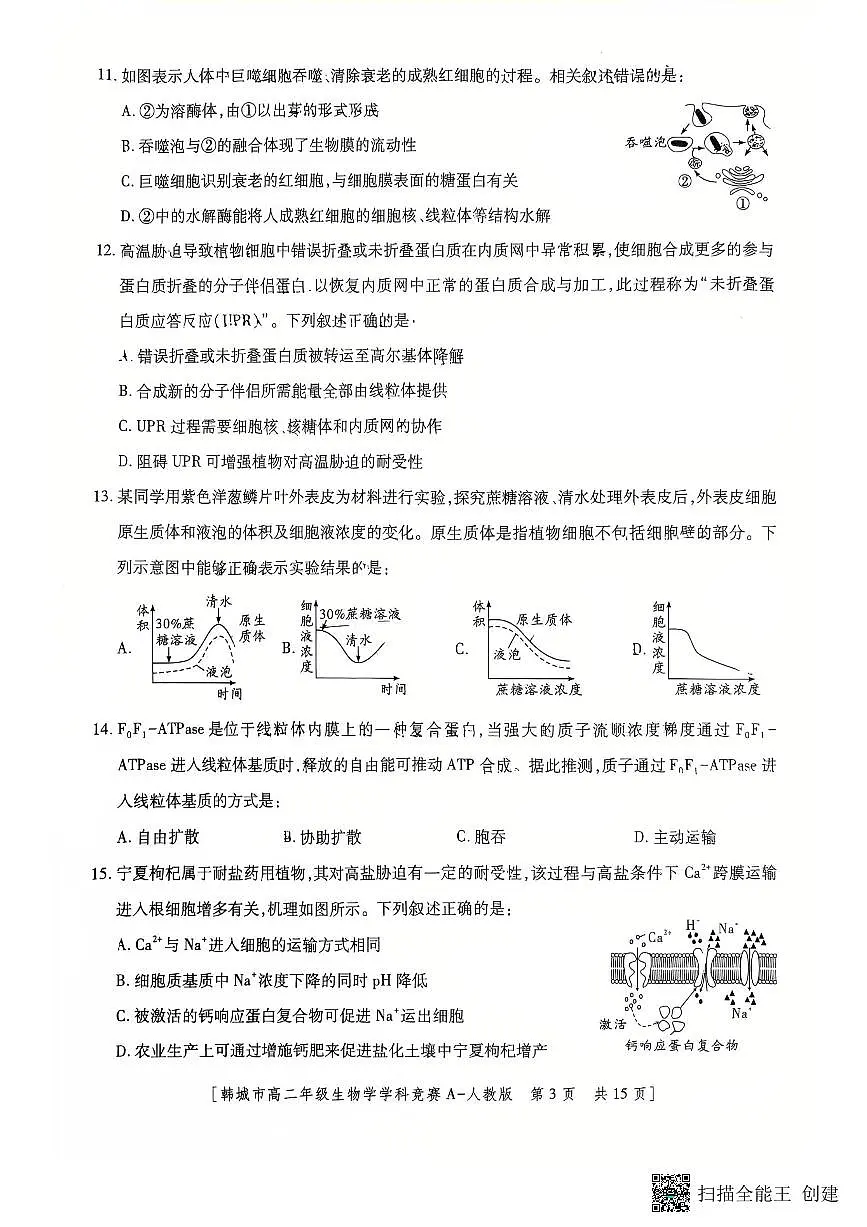 陕西省韩城市2025-2026学年高二上学期学科竞赛生物试题（无答案）第3页