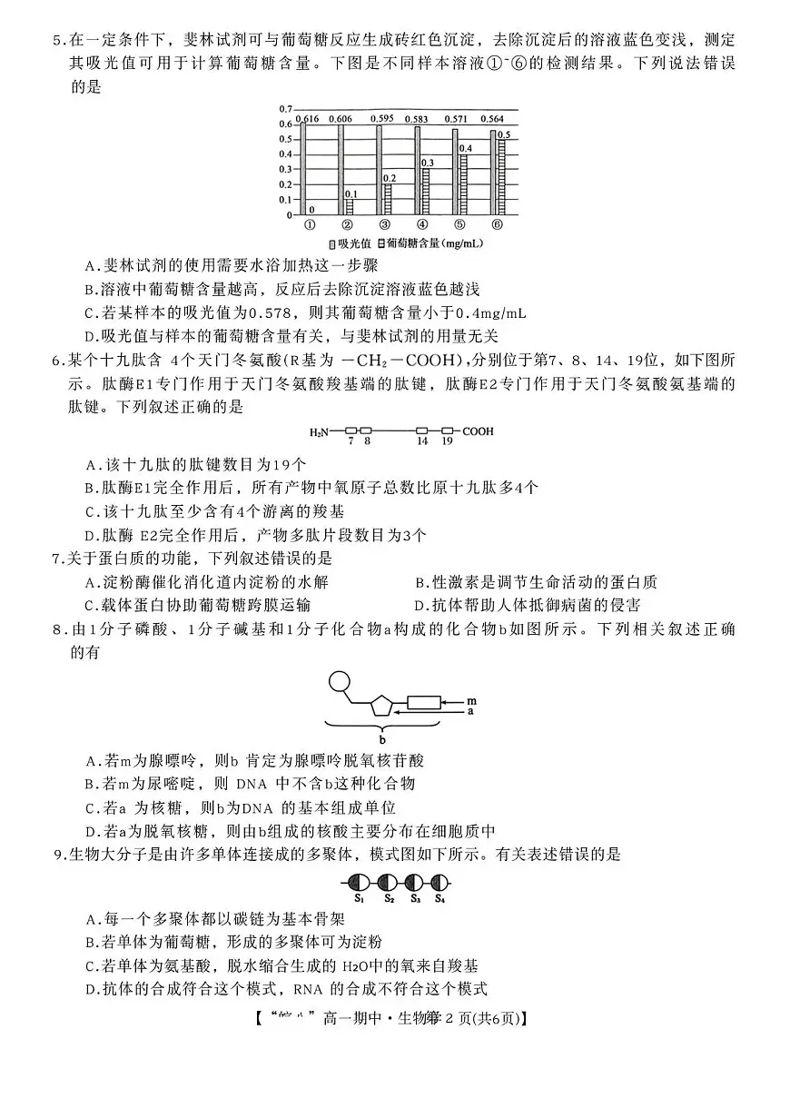 安徽省2025_2026学年高一生物上学期期中测试pdf含解析第2页