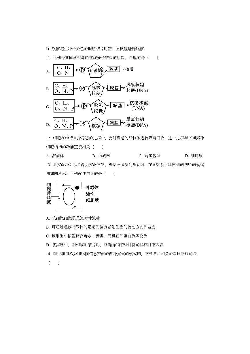 陕西省金太阳2025-2026学年高一上学期11月期中联考生物试卷（学生版）第3页
