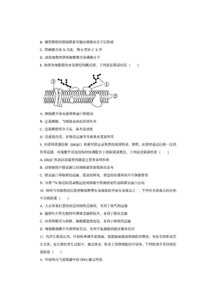 辽宁沈阳五校协作体2025-2026学年高一上学期11月期中生物试卷（学生版）第3页