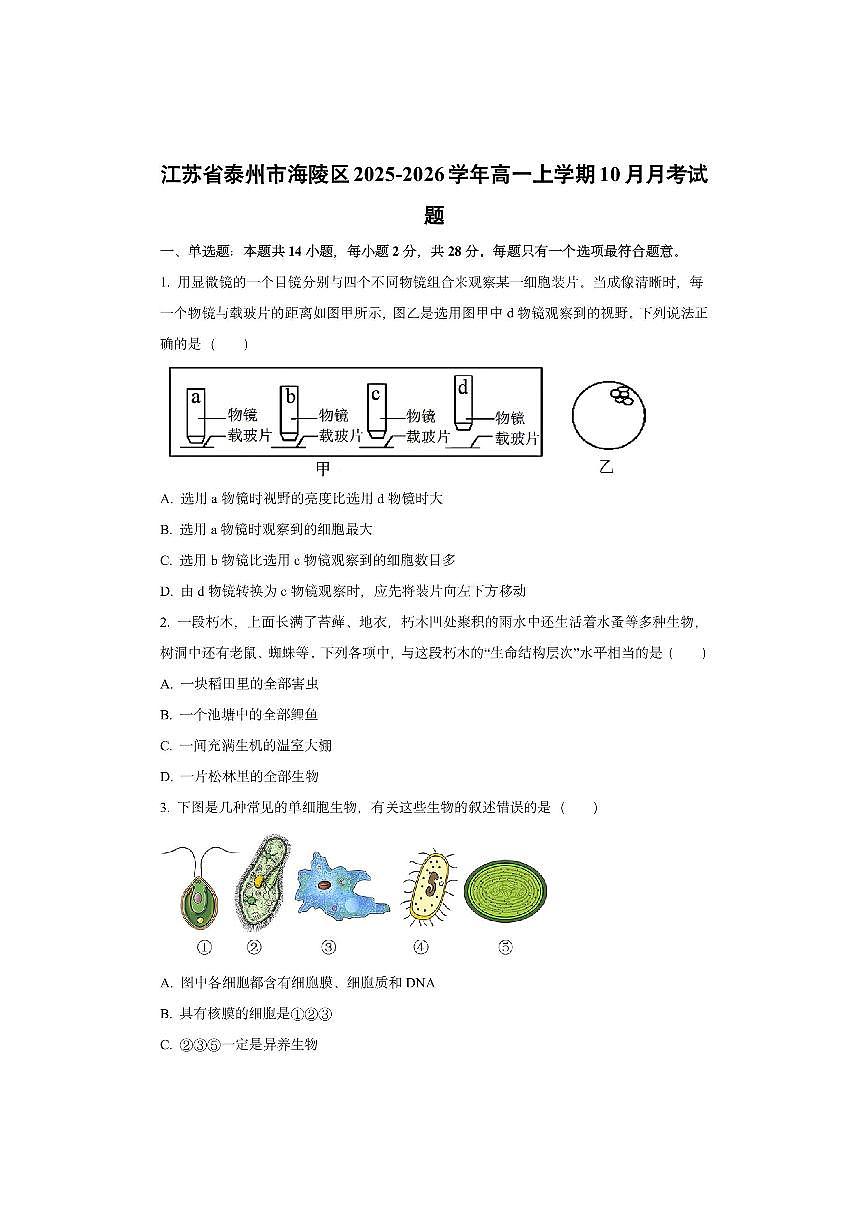 江苏省泰州市海陵区2025-2026学年高一上学期10月月考生物试卷（学生版）第1页