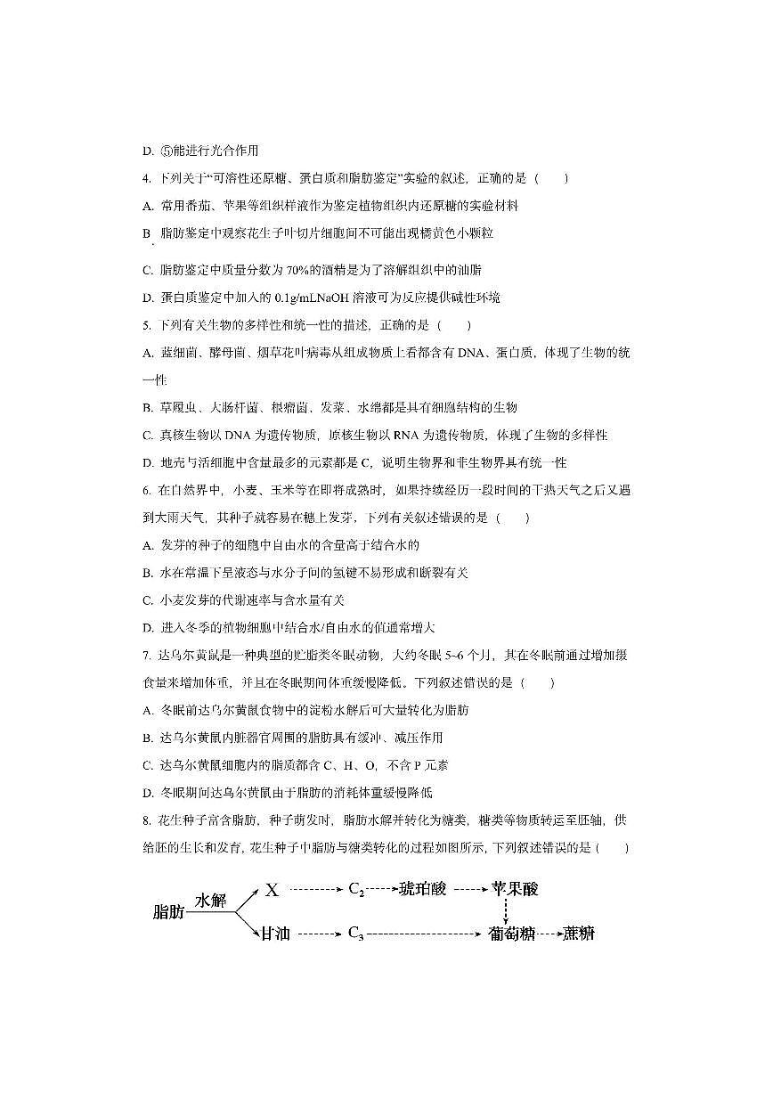 江苏省泰州市海陵区2025-2026学年高一上学期10月月考生物试卷（学生版）第2页