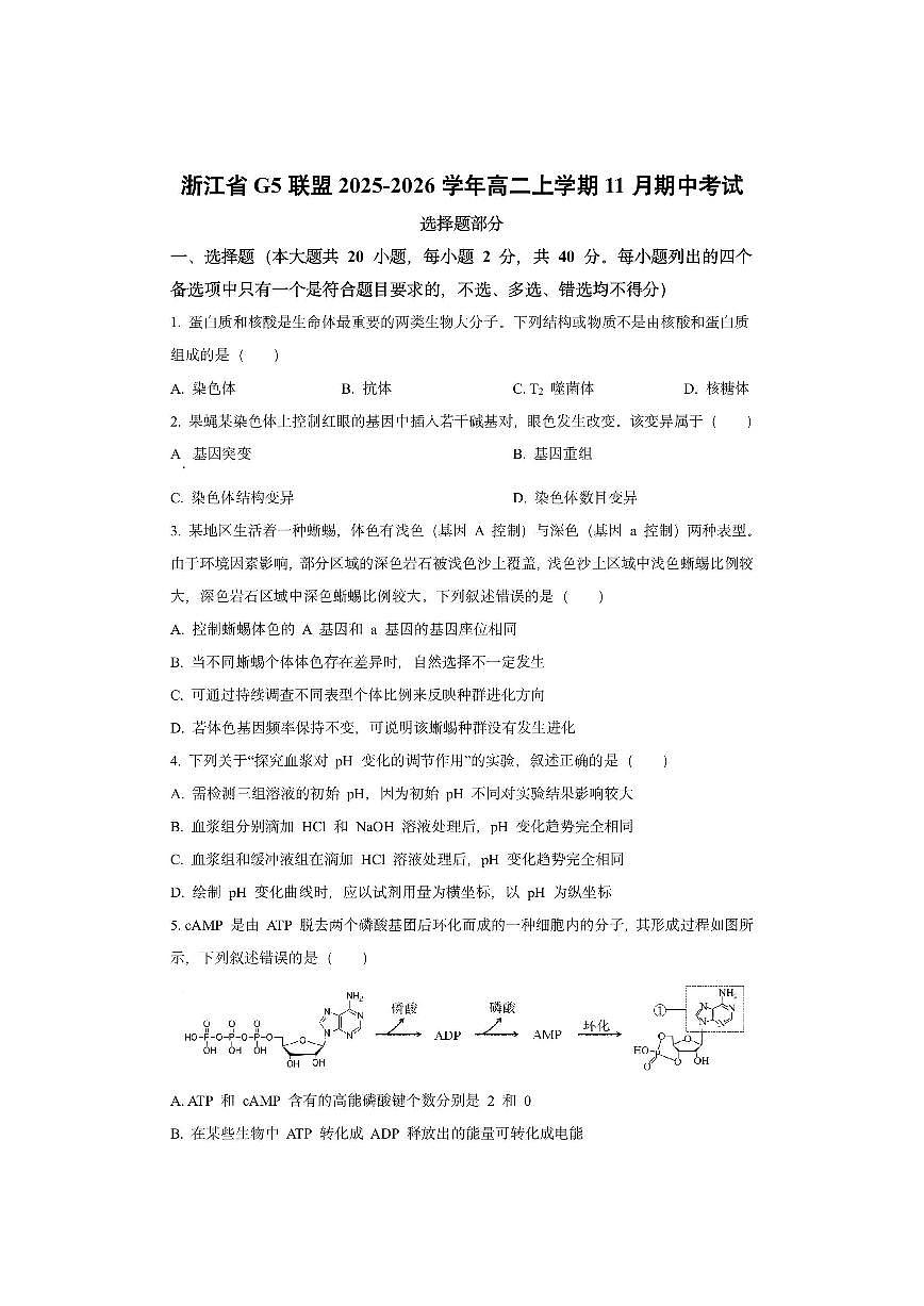 浙江省G5联盟2025-2026学年高二上学期11月期中考试生物试卷（学生版）第1页