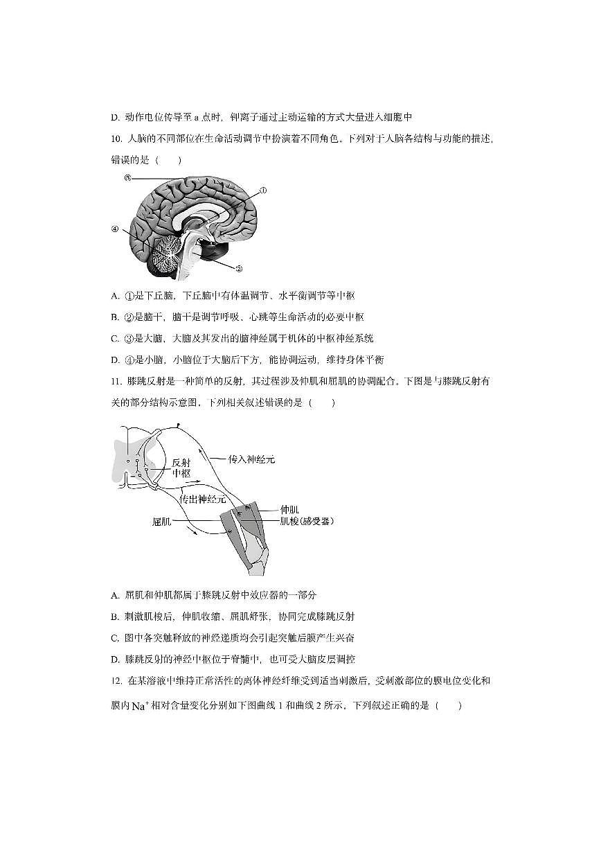 湖北省孝感新高考协作体2025-2026学年高二上学期11月期中生物试卷（学生版）第3页