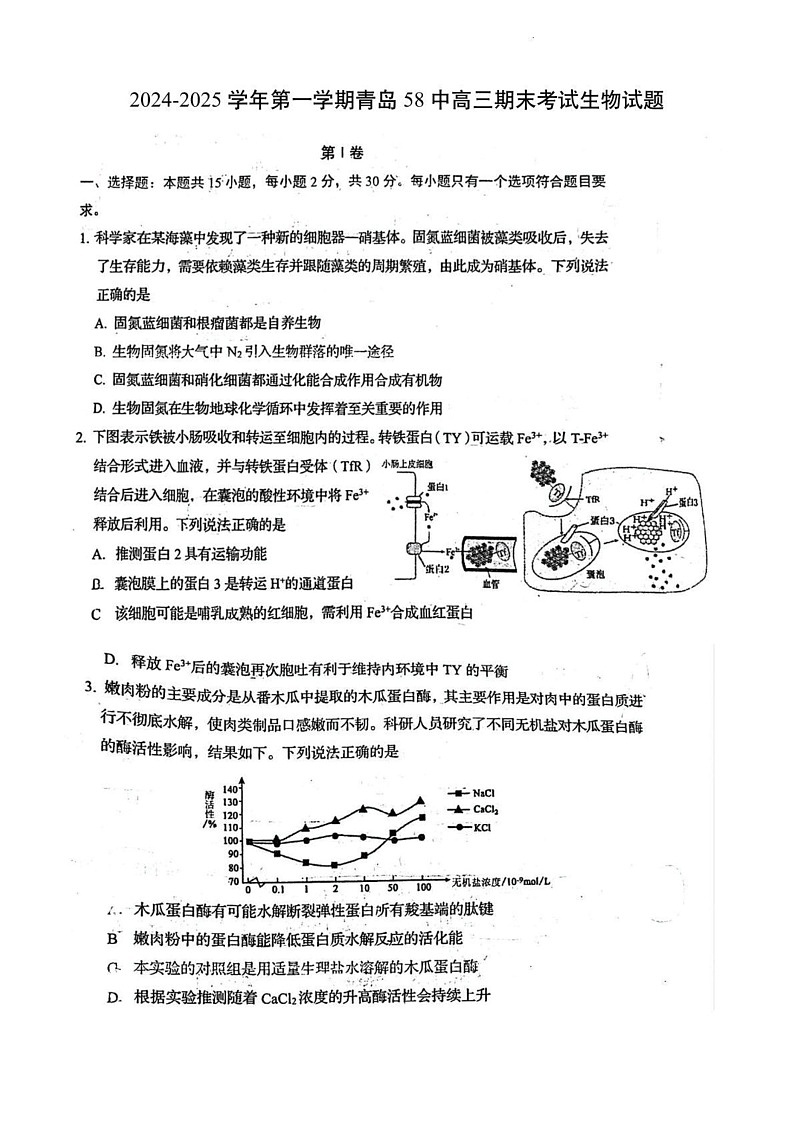 山东省青岛第五十八中学2024—2025学年高三上学期期末考试生物试题第1页
