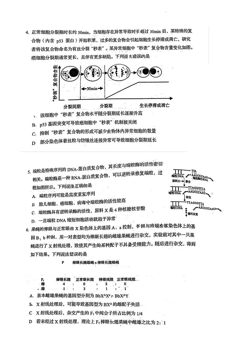 山东省青岛第五十八中学2024—2025学年高三上学期期末考试生物试题第2页