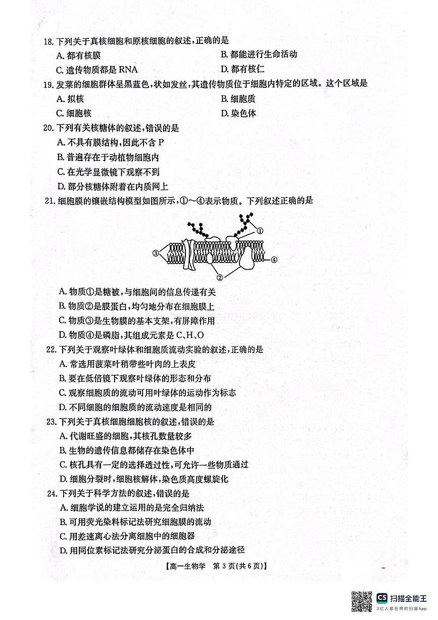 辽宁省辽阳市2024-2025学年高一上学期期中考试生物试题第3页