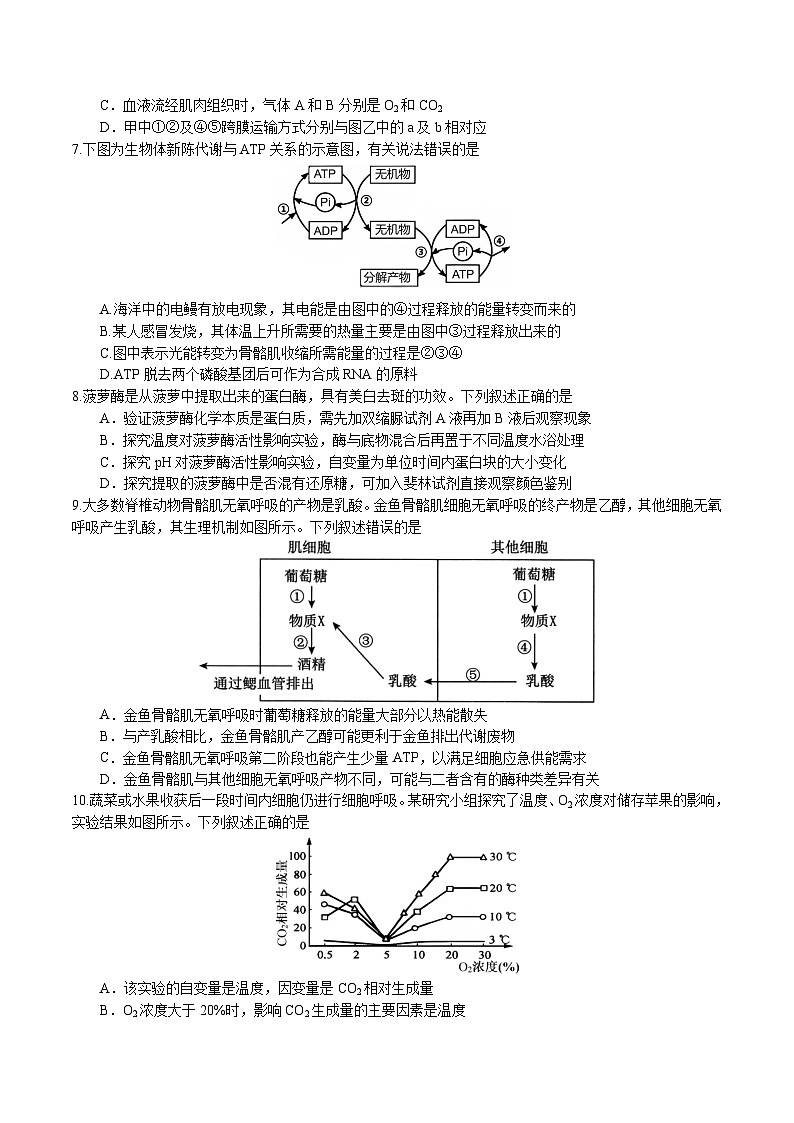四川省遂宁市重点高中2026届高三上学期二模考试 生物试卷（含答案）第3页
