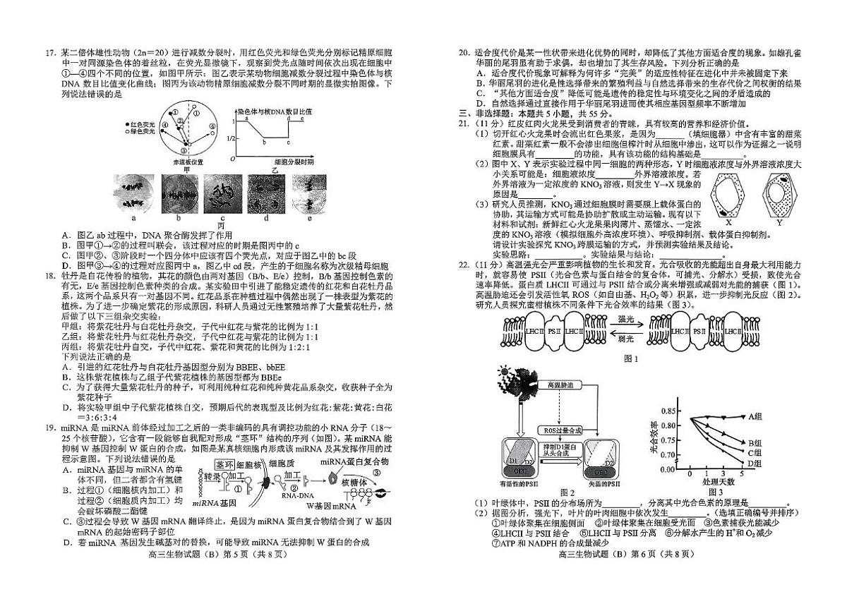 山东省菏泽市2026届高三上学期期中考试 生物试卷（PDF图片版）（含答案）第3页