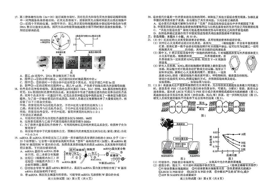 山东省菏泽市2026届高三上学期期中考试 生物试卷（PDF图片版）（含答案）第3页