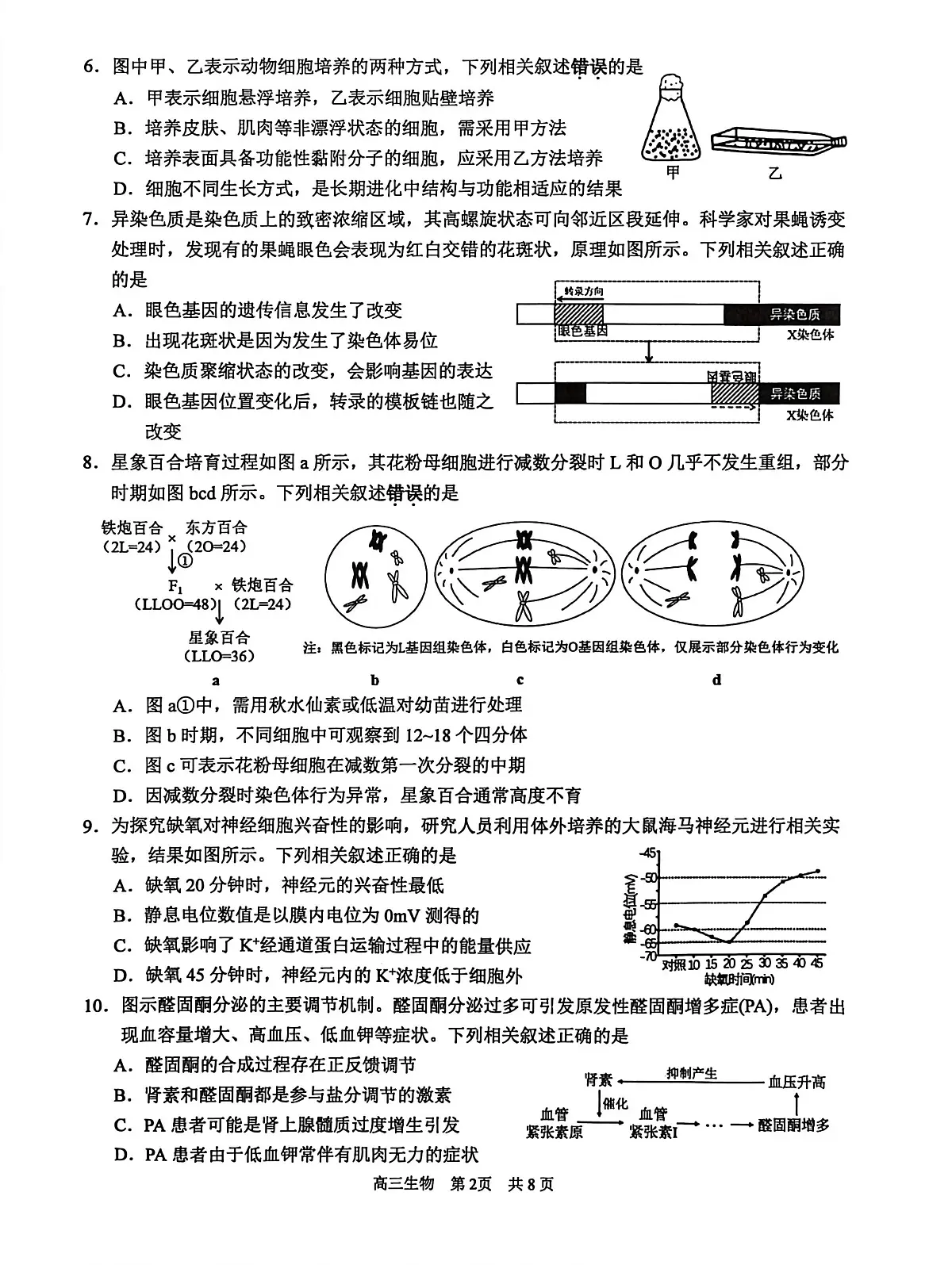 江苏省苏州市2026届高三上学期期中阳光调研 生物试卷（PDF图片版）第2页