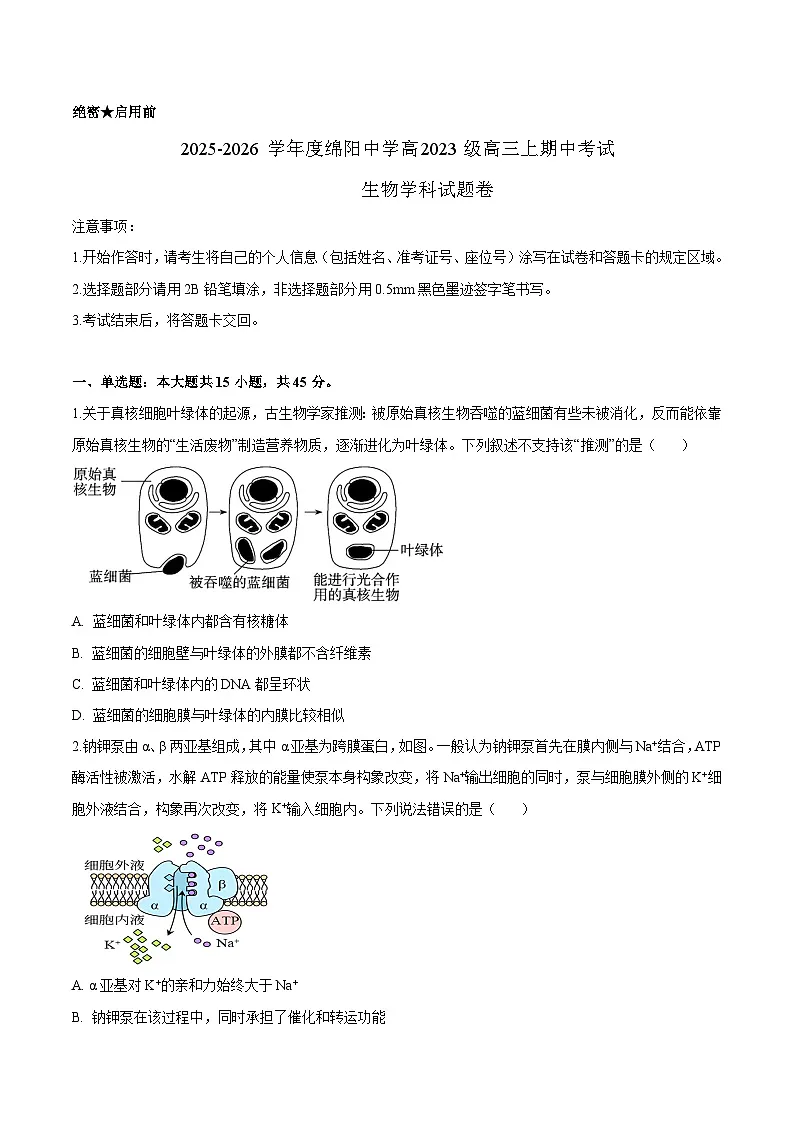 四川省绵阳中学2026届高三上学期期中考试 生物试卷(含答案）第1页