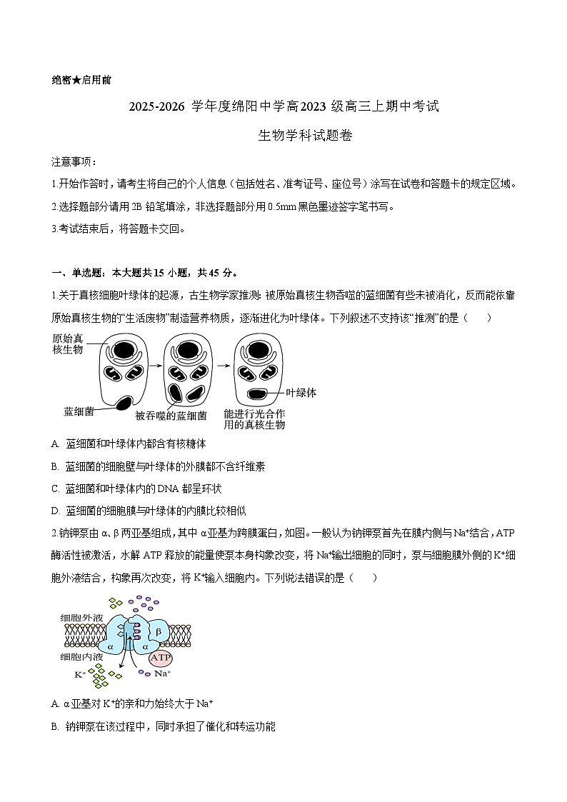 四川省绵阳中学2026届高三上学期期中考试 生物试卷(含答案）第1页
