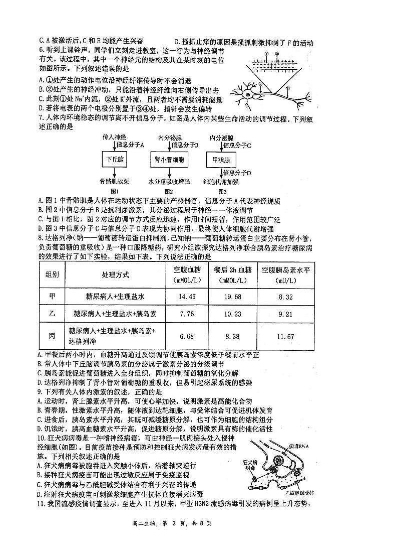 江苏省泰州市海陵区江苏省泰州中学2025-2026学年高二上学期12月月考生物试题第2页