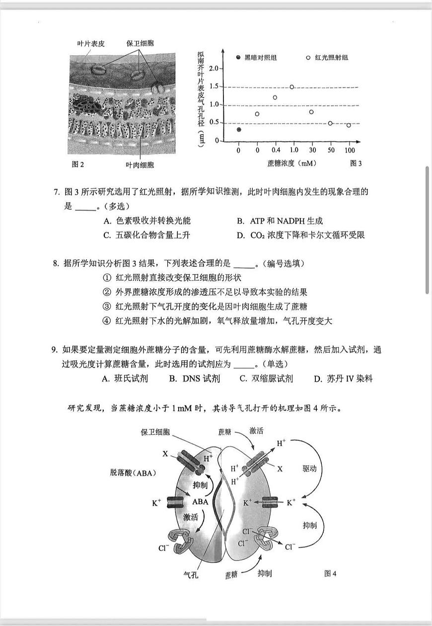 上海市杨浦区2025-2026学年高三上学期12月模拟质量调研生物试题（高考模拟）第3页