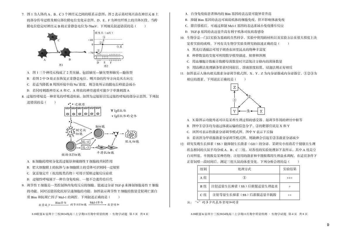 【生物】（D卷）A10联盟＆宿州十三校2024级高二上学期11月期中质量检测生物学d第2页