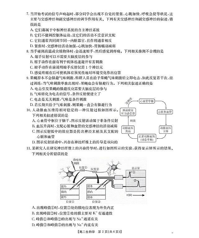 新疆2027届高二上学期11月联考（26-70B）生物第2页