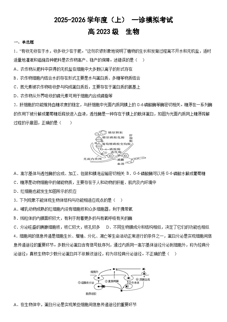 四川省成都市成华区某校2025-2026学年高三上学期12月一诊模拟生物试题第1页