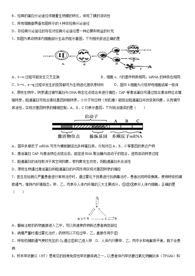 四川省成都市成华区某校2025-2026学年高三上学期12月一诊模拟生物试题第2页