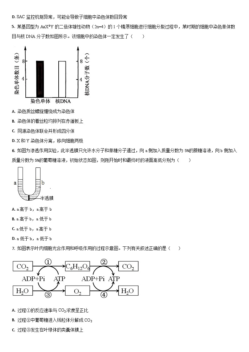 吉林省通化市梅河口市第五中学2025-2026学年高三上学期12月月考生物试题（含答案）第2页