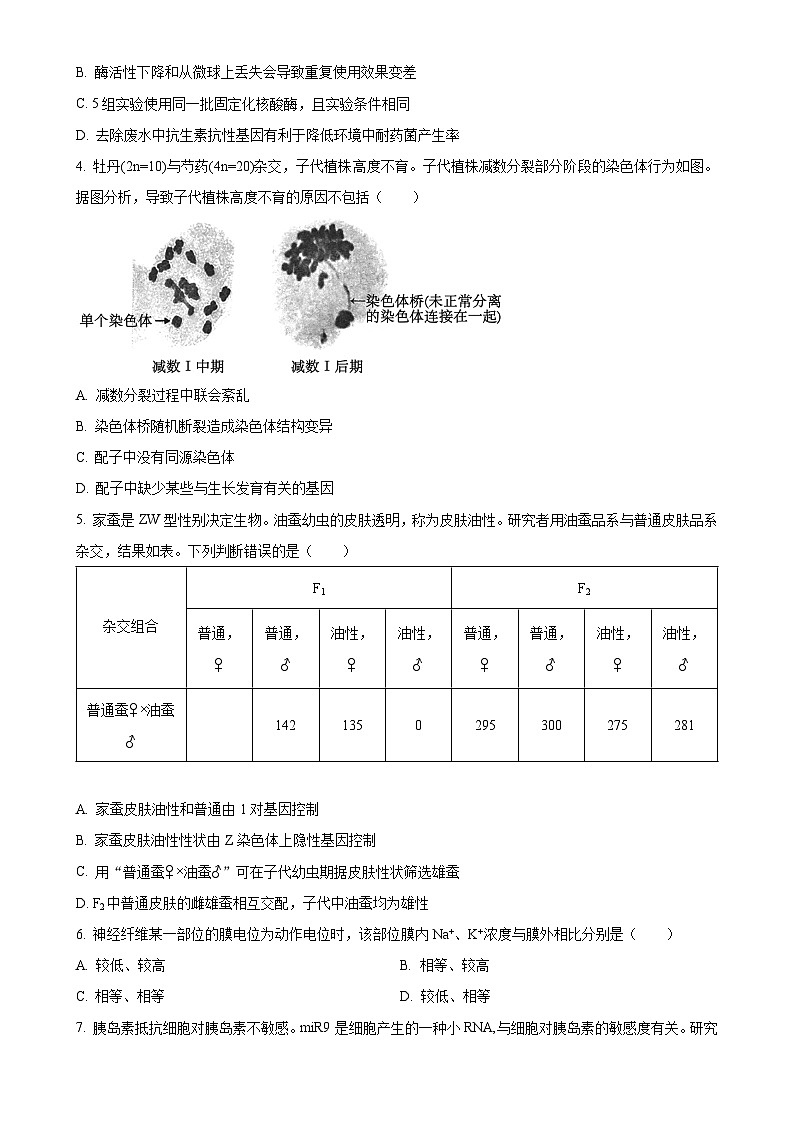 北京市朝阳区高三上学期1月期末质量检测生物试卷（原卷版）-A4第2页