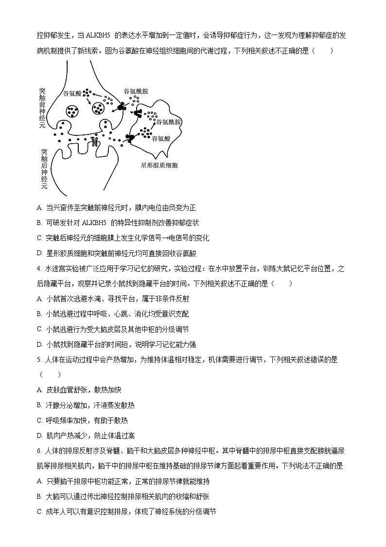 北京市朝阳区高二上学期1月期末质量检测生物试卷（原卷版）-A4第2页