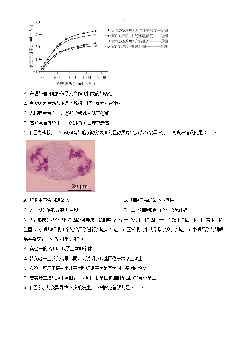 北京市昌平区高三上学期期末质量检测生物试题（原卷版）-A4第2页