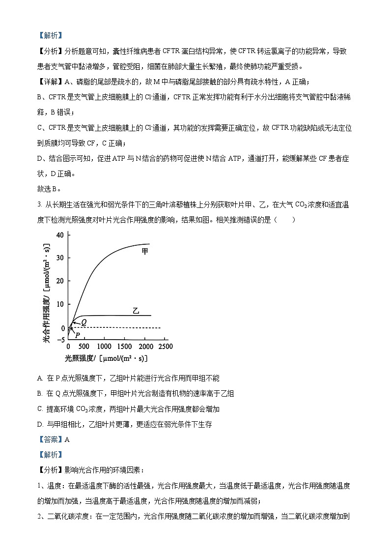 北京市朝阳区高三上学期11月期中质量检测生物试题（解析版）-A4第2页