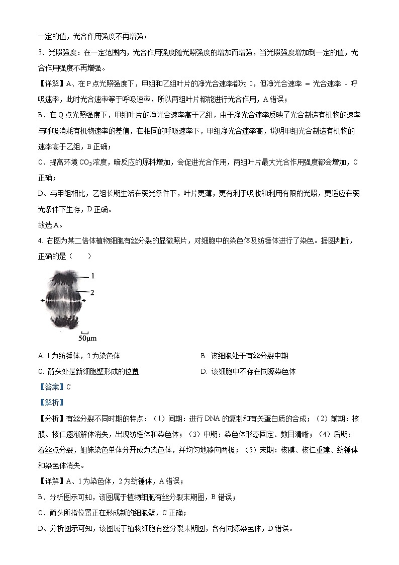 北京市朝阳区高三上学期11月期中质量检测生物试题（解析版）-A4第3页
