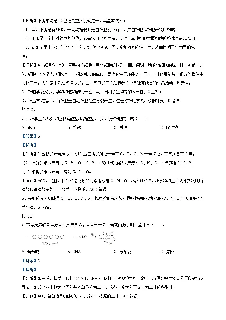 北京市大兴区高一上学期期末考试生物试卷（解析版）-A4第2页