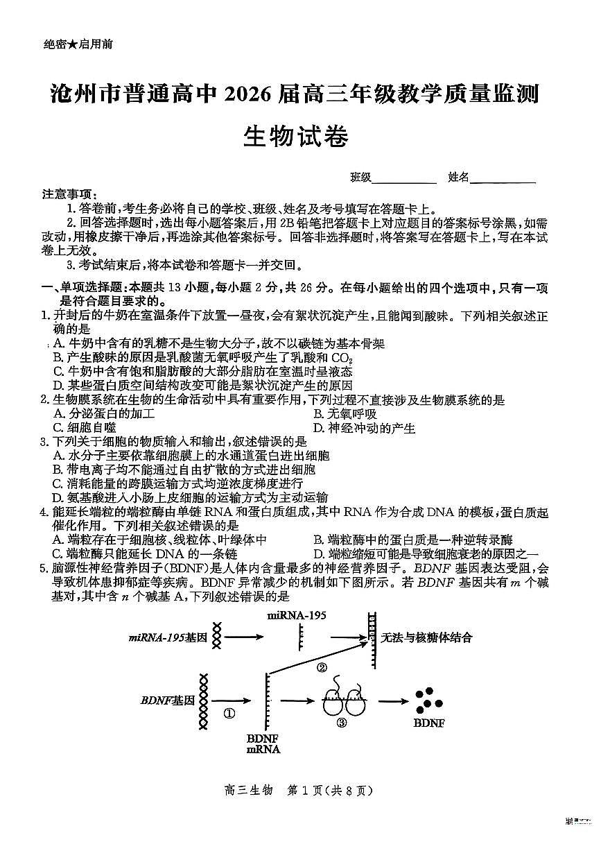 河北省2026届沧州市高三上学期12月教学质量监测生物试题+答案第1页