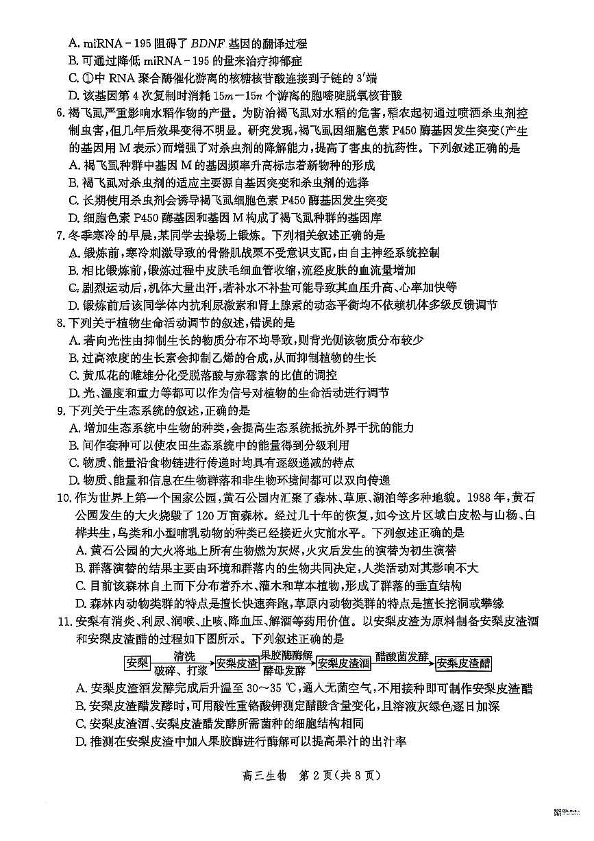河北省2026届沧州市高三上学期12月教学质量监测生物试题+答案第2页