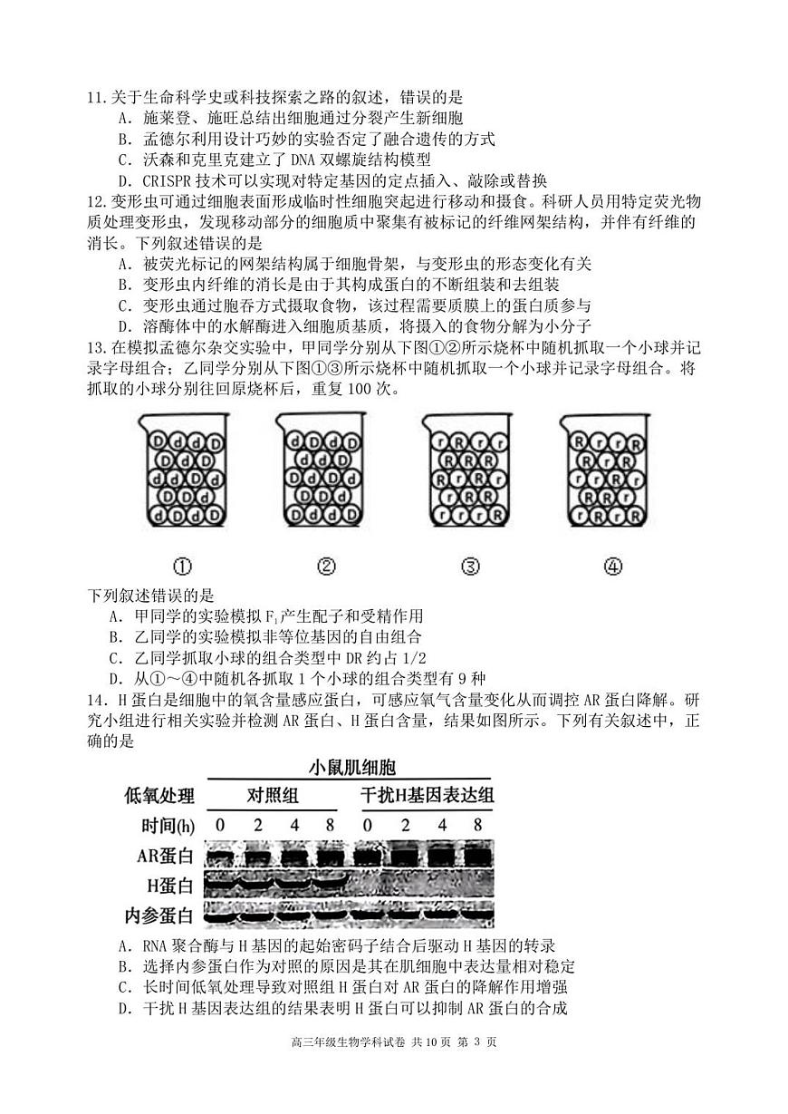 黑龙江省龙东十校联盟2026届高三上学期12月月考生物试卷（含答案）第3页
