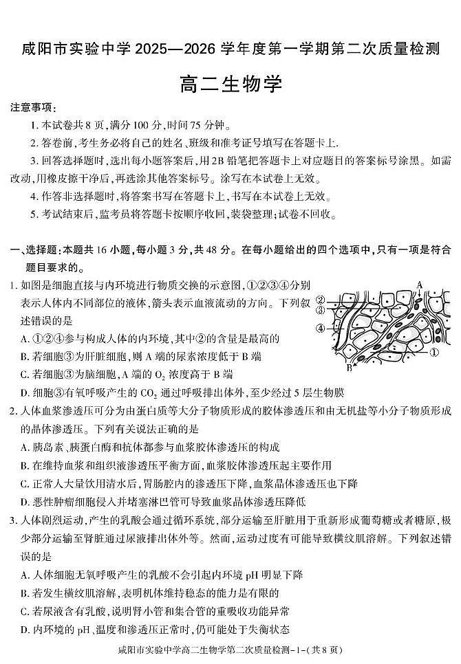 陕西省咸阳市实验中学2025-2026学年高二上学期第二次质量检测生物试卷（含答案）第1页