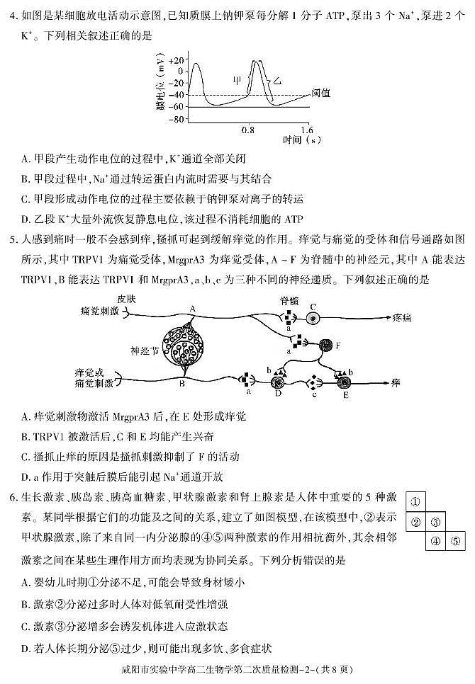 陕西省咸阳市实验中学2025-2026学年高二上学期第二次质量检测生物试卷（含答案）第2页