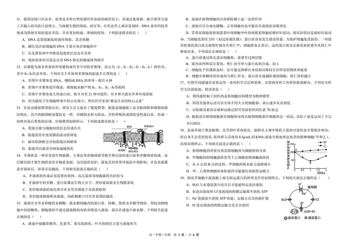四川省成都市树德中学2025-2026学年高一上学期期中考试生物试卷第2页
